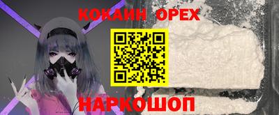 винт Будённовск