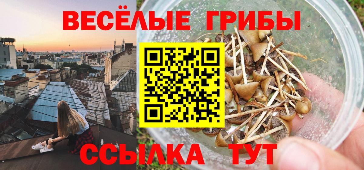 Марихуана  Гашиш  Вход с VPN  МДМА  Нижний Новгород  ГАШ  МЕФ   Купить наркотики  ТГК 
