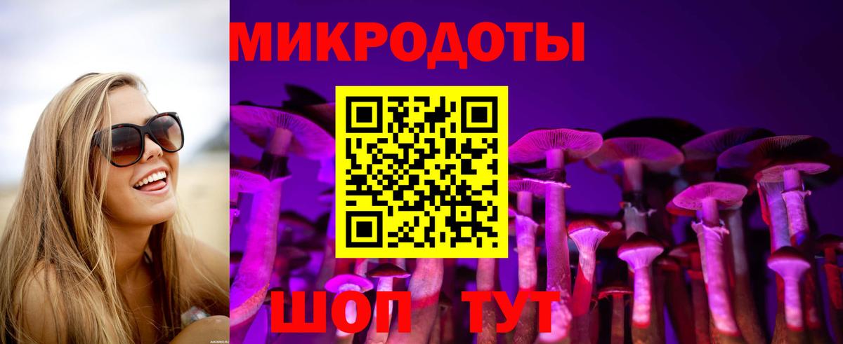 Нижний Новгород  Псилоцибиновые грибы Cubensis  Вход с VPN 